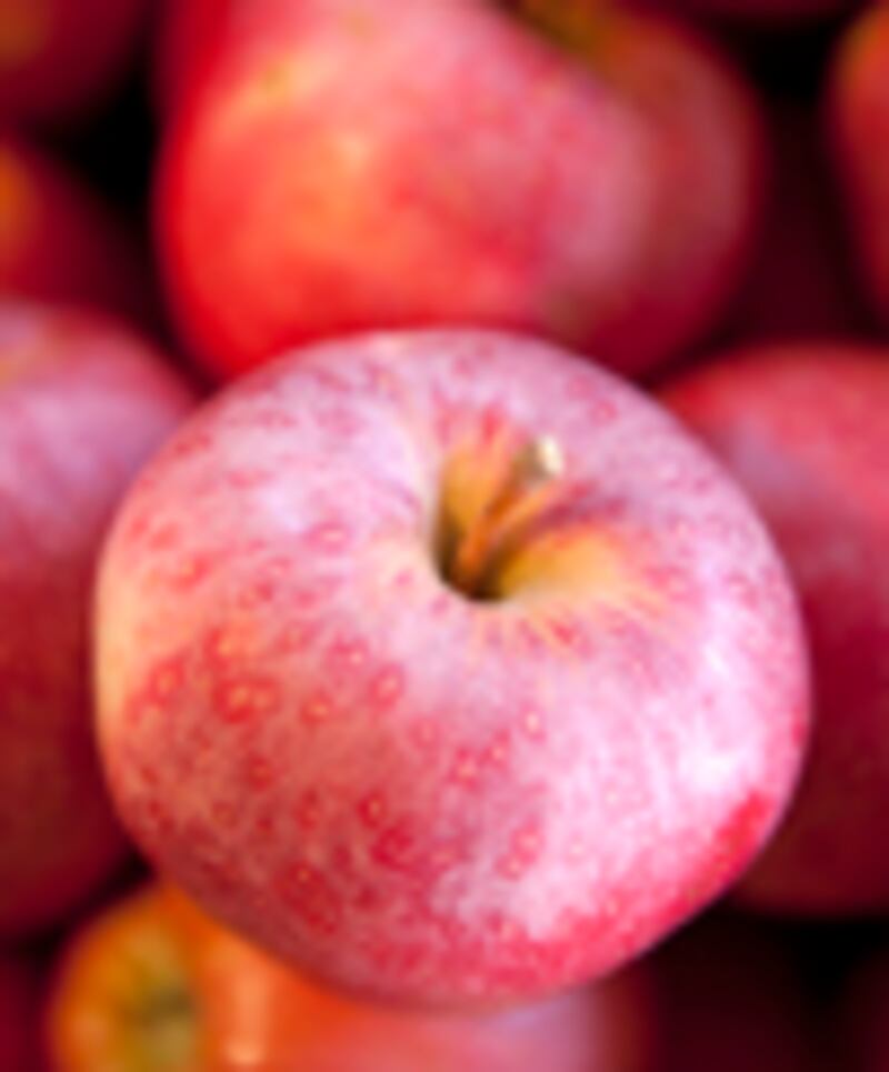 articles/2011/09/15/fresh-picks-alex-guarnaschelli/alex-guarnaschelli-fresh-picks-recipe_yodb4j
