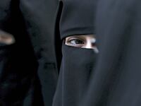 cheats/2016/11/16/georgia-bill-to-restrict-wearing-of-muslims-burqa-and-veil/161116-georgia-burqa-ban-cheat_fqymww