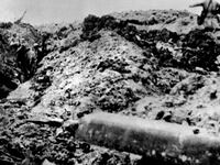 articles/2014/12/12/royals-remember-the-christmas-truce-of-1914/ww1_tigd7h