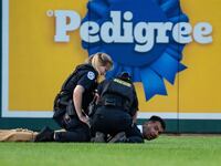 Capitol Police detain a Climate protester who ran onto the field during the Congressional Baseball Game.