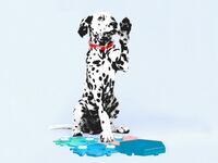 A photo illustration showing a dog using the FluentPet device.