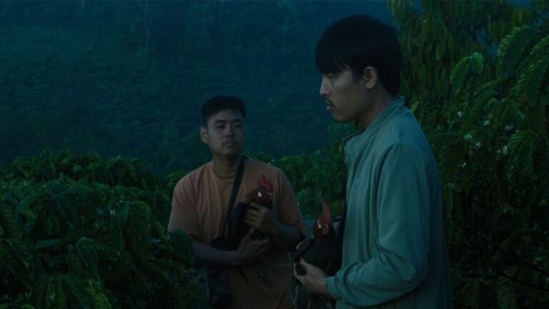 Two men hold chickens in a still from Inside the Yellow Cocoon Shell