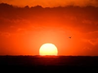 GettyImages-1093391776_jqzsbp
