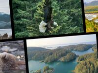 Alaska_Header_Image_Static_pkolmz
