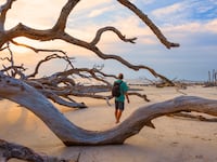 A photo of a hiker walking through driftwood beach on Jekyll Island, Georgia.