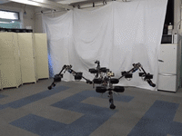 flyingspidergif_d2azon