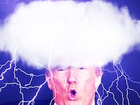 170906-bhl-trump-nature-tease_uprnkw