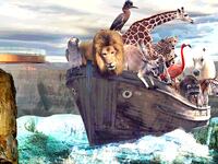 170611-moss-noahs-ark-grand-canyon-hero_fgvmrq