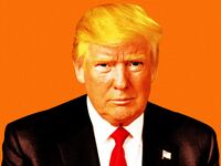 An illustration including a photo of Former U.S. President Donald Trump