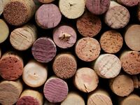 articles/2014/01/19/the-drops-of-god-wine-books-you-will-actually-want-to-read/140117-salcito-wine_kr2tiv