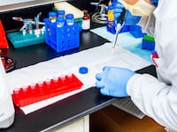 200916-rabbithole-Mellors-Testing-Lab-tease_oyjrnl