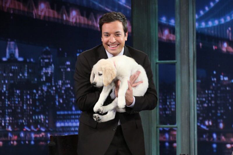 galleries/2012/11/03/blake-lively-usher-more-celebrities-crazy-about-their-dogs-photos/jimmy-fallon-celeb-dogs_h6qdkl