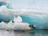 cheats/2014/12/02/glacial-melting-has-tripled-in-past-decade/141202-ice-melt-cheat_yp2duc
