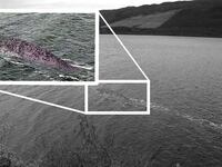 200624-teeman-lochness-tease_utydbd