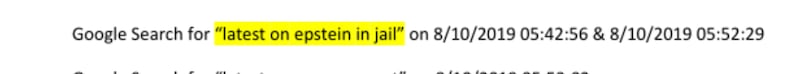 Prison guard Tova Noel Google searched "latest on epstein in jail" twice less than an hour before he was found unresponsive, released Epstein documents showed.
