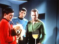 articles/2014/07/04/william-shatner-picks-his-favorite-wines/140703-startrekwine_r7kv7n