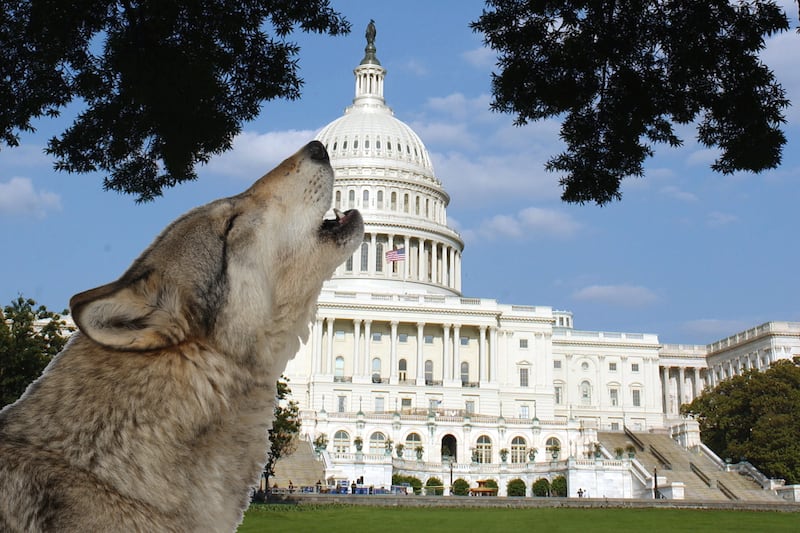 articles/2013/10/11/crying-wolf-on-capitol-hill/131010-mclean-crying-wolf-tease_sdkpux