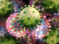 221218-tripledemic-viruses-tease_qgorwi