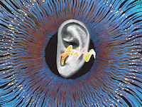 220217-Leschziner-synesthesia-tease_bs8ht3