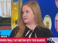 Epstein survivor Liz Stein speaking to MS NOW.
