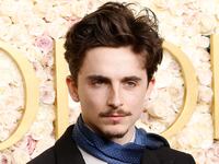 BEVERLY HILLS, CALIFORNIA - JANUARY 05: Timothee Chalamet attends the 2025 Golden Globe Awards at The Beverly Hilton on January 05, 2025 in Beverly Hills, California. (Photo by Taylor Hill/FilmMagic)