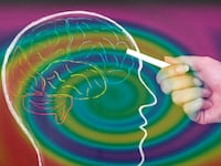 articles/2016/04/17/lsd-makes-your-brain-more-flexible-less-anxious/160416-arnold-brain-lsd-drugs-tease_hhzbkr