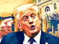 Trump is grumpy of damaged stonework in the White House Garden.