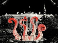 White House made up for UFC event with octopus tentacles coming up