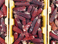 190512-rothbaum-bourbon-grains-tease_bie32c