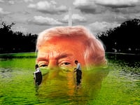 Donald Trump, reflecting pool