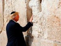 171219-katz-trump-tease_n3uufb