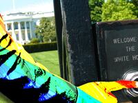 articles/2017/02/25/inside-the-trump-white-house-s-fight-over-lgbt-rights/170224-allen-lgbt-trump-white-house-tease_kbeife