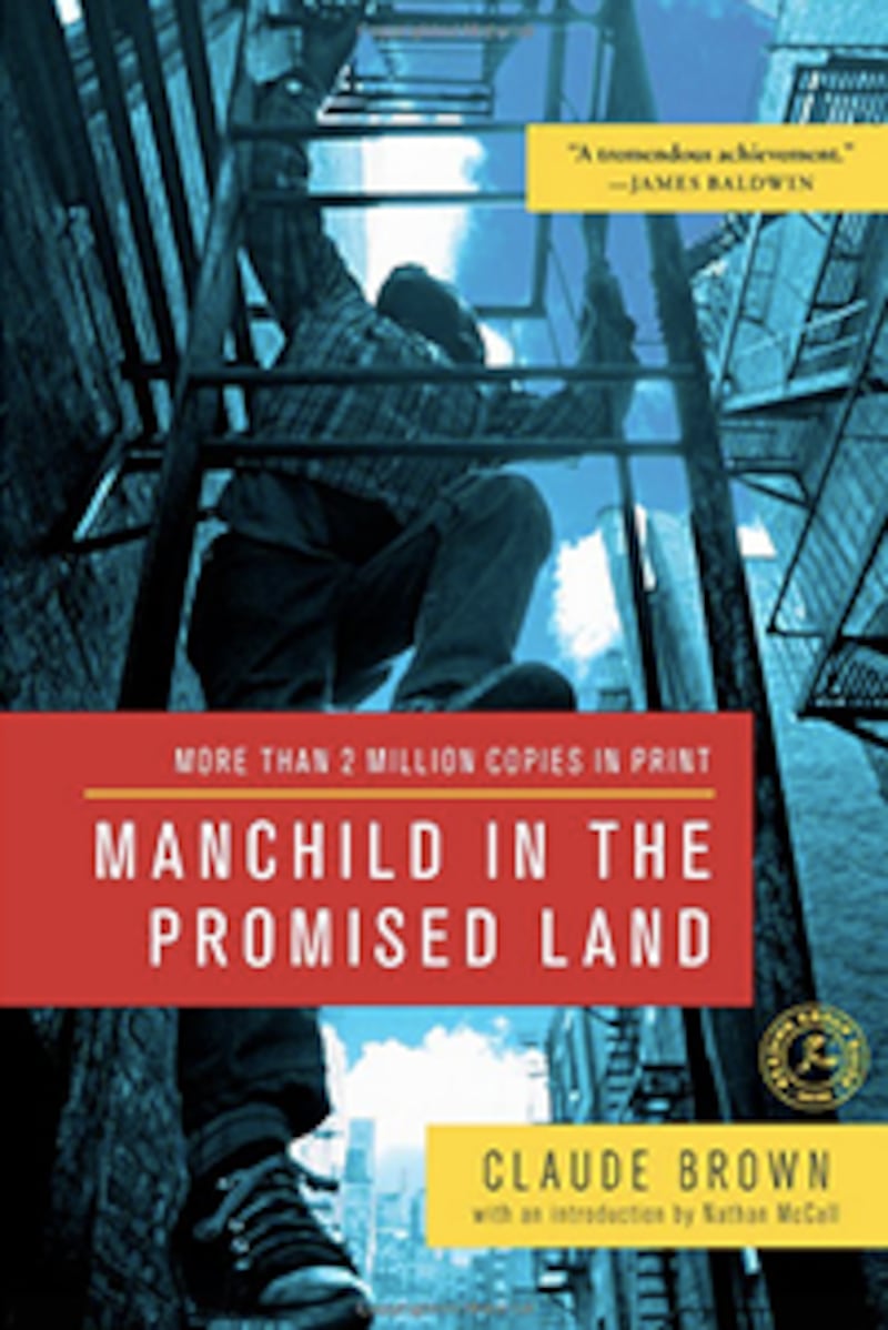 articles/2013/07/16/cathleen-schine-s-favorite-new-york-books/brown-manchild_iopa8s