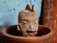 articles/2016/02/05/connecticut-cops-in-a-santeria-panic/160205-zavadski-santeria-tease_clefvs