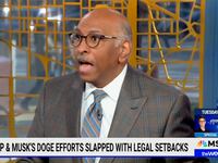 MSNBC host Michael Steele rails against Elon Musk on Mar 1, 2025.