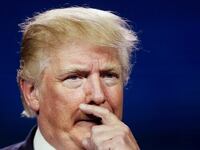 articles/2016/07/12/trump-on-trump-i-don-t-even-know-if-this-guy-s-smart/160711-nuzzi-trump-dumb-tease_snjbsh