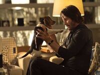 articles/2015/02/03/john-wick-is-like-taken-with-a-puppy/150202-schager-john-wick-tease_xph37t