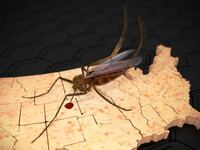 articles/2016/08/29/your-zika-apathy-is-spreading-the-virus/160828-Allen-Zika-Apathy-tease_apcp7t