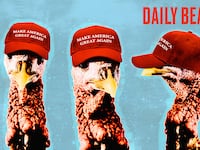 MAGA turkeys at Thanksgiving.