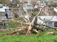 Without Power Until Next Year, Puerto Ricans Are Leaving—Maybe Forever
