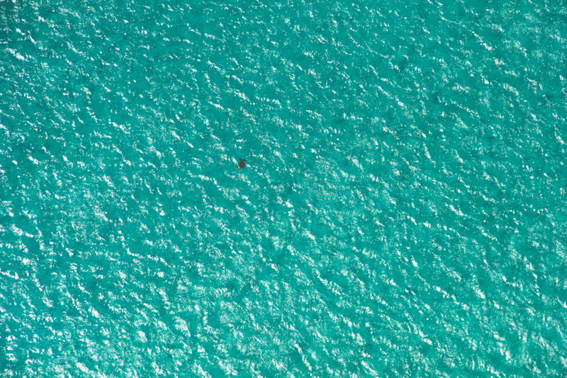 191102-brockway-whitsundays-sea-turtle_kaigyq