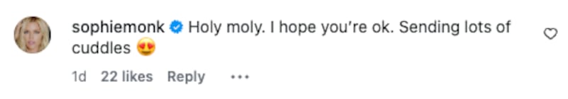 A comment left on Carrie Bickmore's Instagram