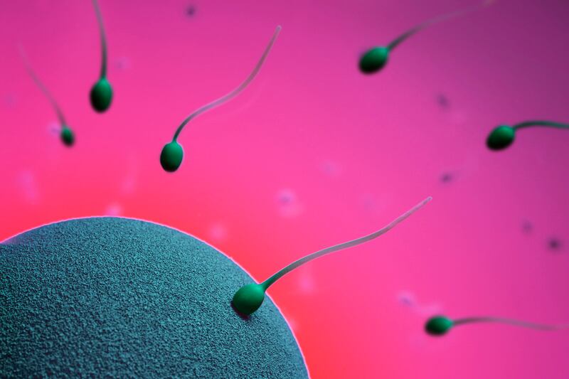 articles/2012/12/08/french-sperm-counts-decline-fertility-by-the-numbers/sperm-by-the-numbers_wywz4n