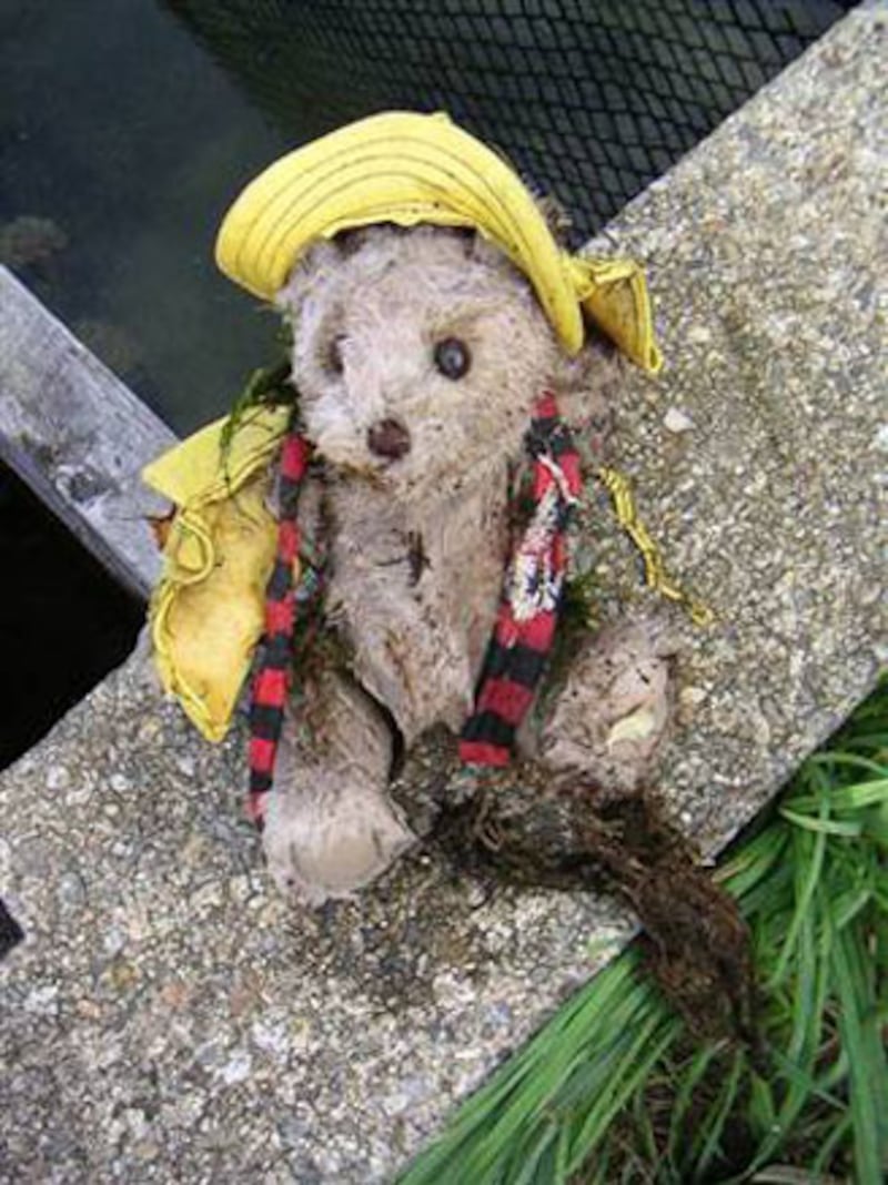 galleries/2011/01/03/animal-mysteries/animal-mysteries---killer-teddy-bear_cfvvcp