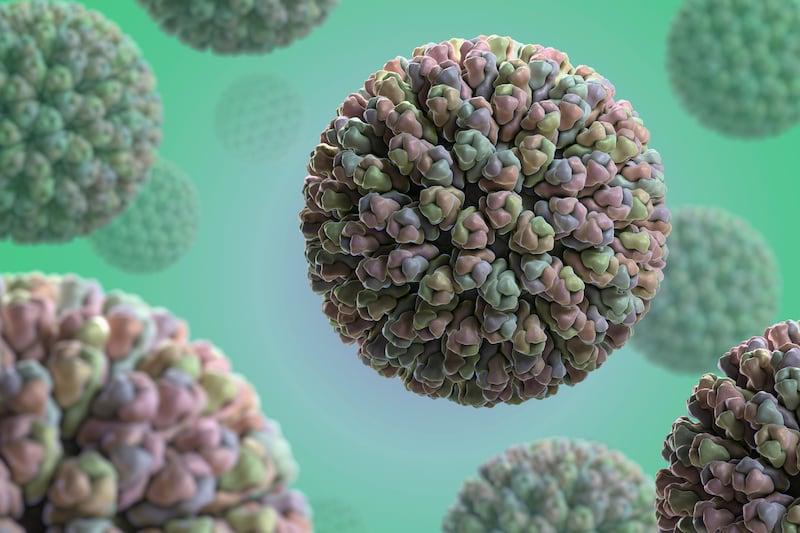 articles/2014/06/12/the-1-billion-reason-to-vaccinate/140611-saunders-rotavirus2-embed_oek9bu