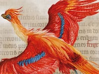 181004-griggs-potter-exhibit-tease_fdxng6