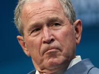 bush_psit3d