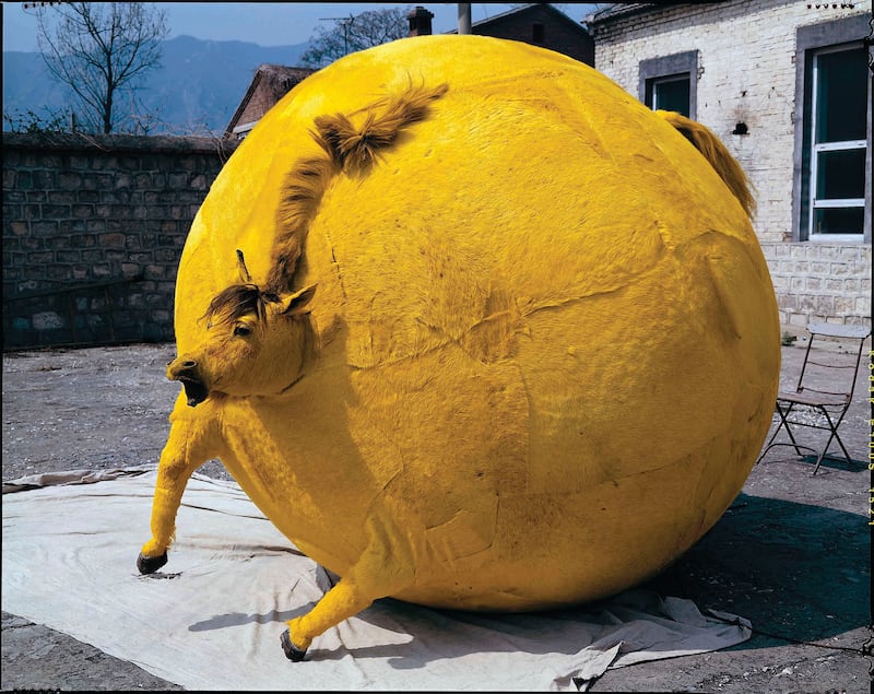 galleries/2014/09/06/the-crappiest-taxidermy-in-the-entire-world-photos/140903-crap-taxidermy-10_hss7gv