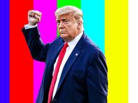201113-tna-trump-coup-hero_uu2kzs