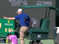 A massive swarm of bees delayed for nearly two hours Thursday’s BNP Paribas Open tennis quarterfinal between Carlos Alcaraz and Alexander Zverev in southern California.